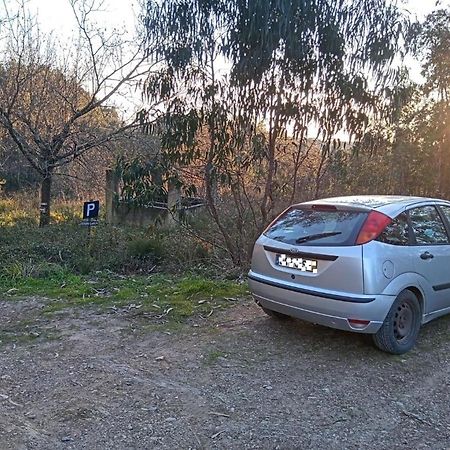 Pinheiro da Bemposta Watermill Moinho Garciaホステル エクステリア 写真