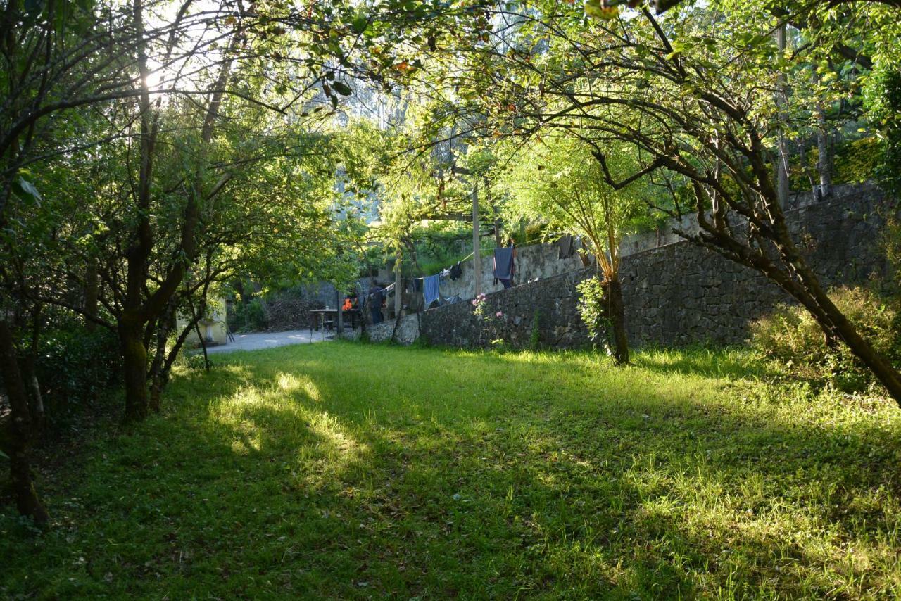 Pinheiro da Bemposta Watermill Moinho Garciaホステル エクステリア 写真