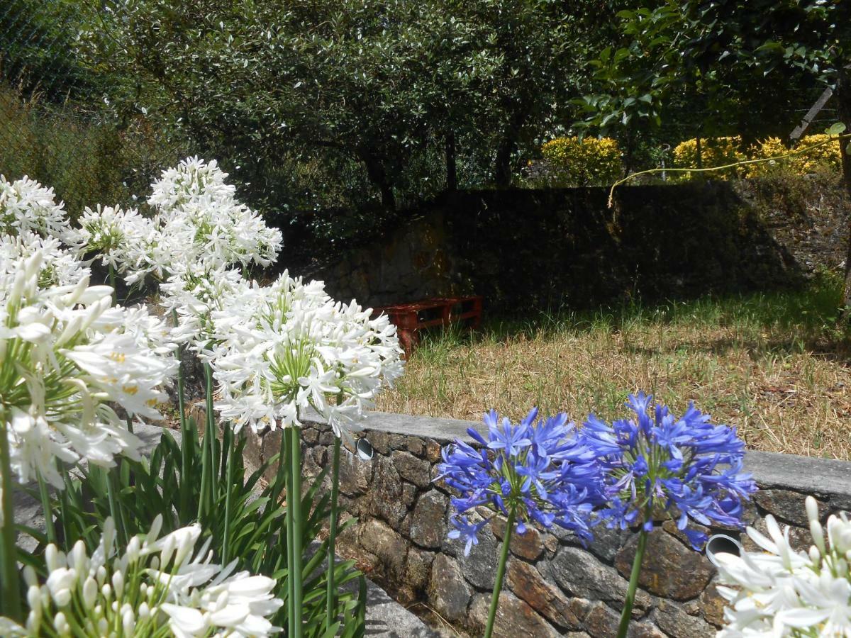 Pinheiro da Bemposta Watermill Moinho Garciaホステル エクステリア 写真