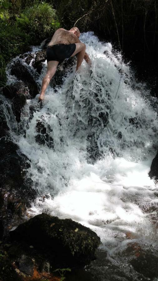 Pinheiro da Bemposta Watermill Moinho Garciaホステル エクステリア 写真