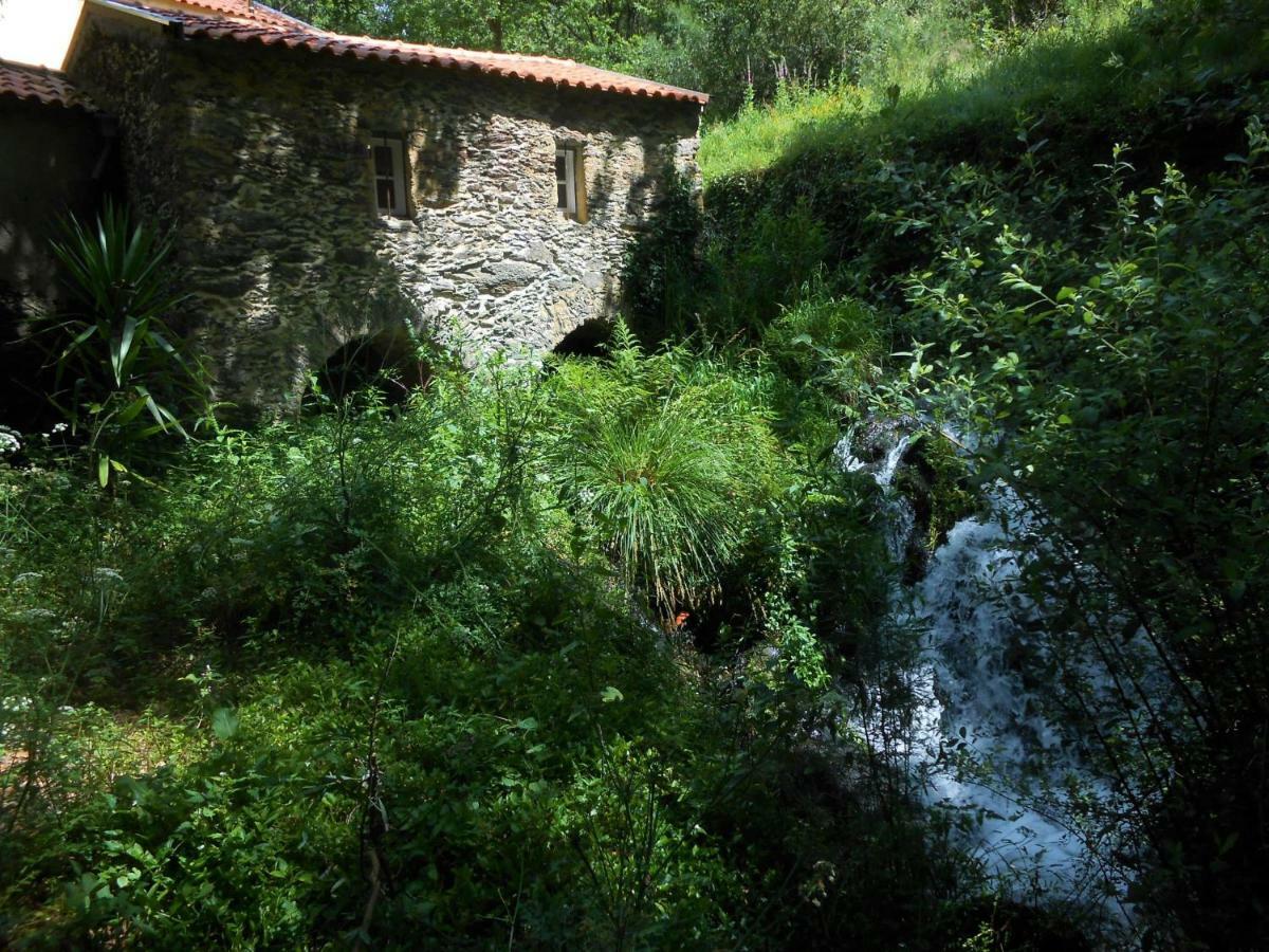 Pinheiro da Bemposta Watermill Moinho Garciaホステル エクステリア 写真