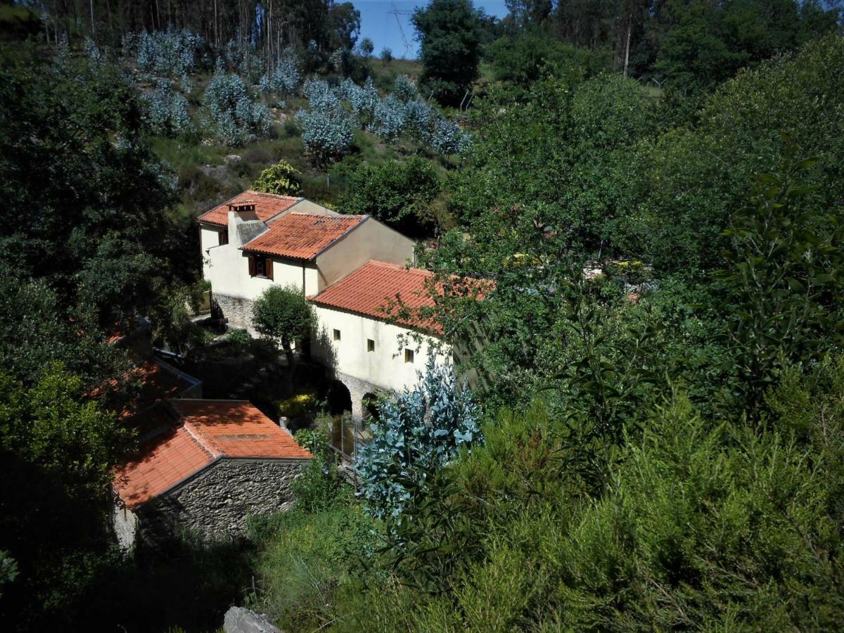 Pinheiro da Bemposta Watermill Moinho Garciaホステル エクステリア 写真