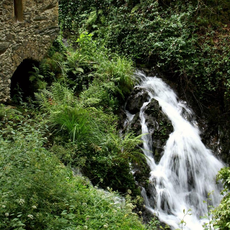 Pinheiro da Bemposta Watermill Moinho Garciaホステル エクステリア 写真